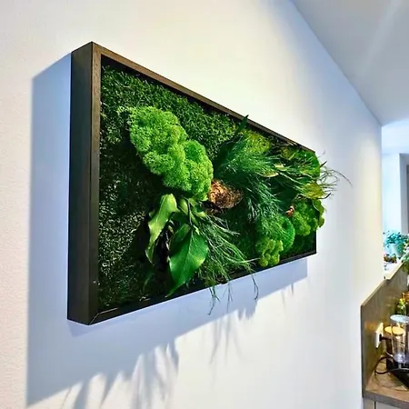 La Foret Enchantee - Cozy Immo Apartment