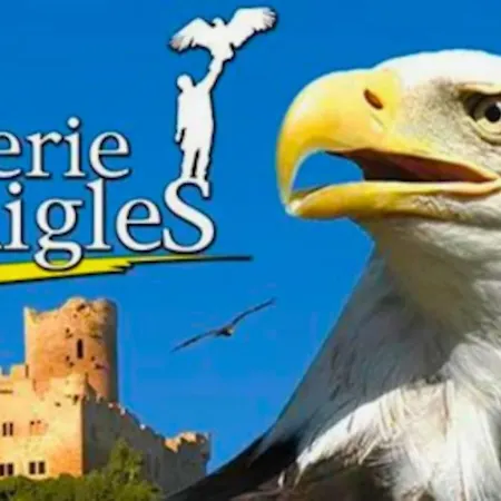 Appartement La Forêt Enchantée - Cozy Immo *