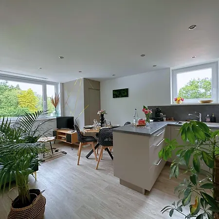 La Foret Enchantee - Cozy Immo Apartment Orschwiller